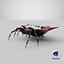 Spiny Orb Weaver Spider 3D Model