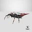 Spiny Orb Weaver Spider 3D Model