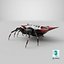 Spiny Orb Weaver Spider 3D Model