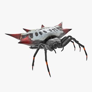 Spiny Orb Weaver Spider 3D Model