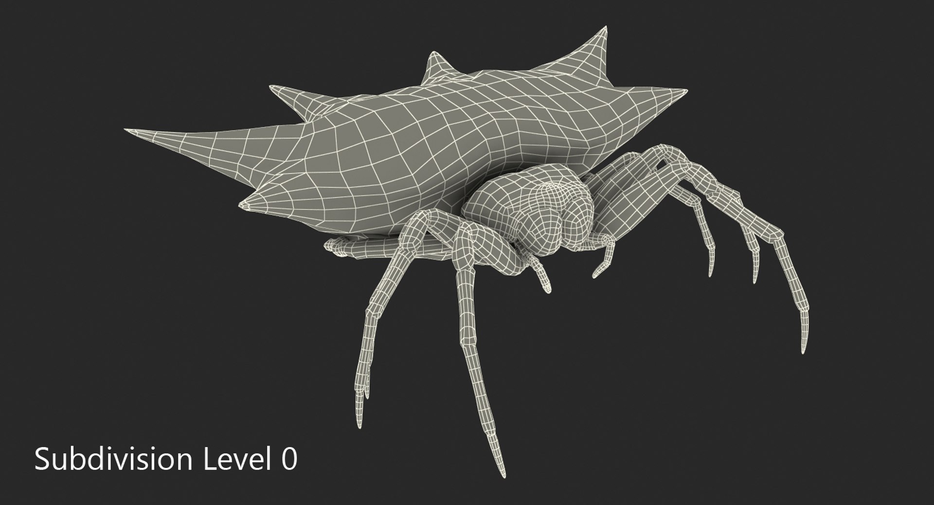 spiny orb weaver spider 3D model https://p.turbosquid.com/ts-thumb/JA/j1Ww49/N0TLql2u/spinyorbweaverspidervray3dmodel010/jpg/1498019810/1920x1080/fit_q87/1fc2571b93a9aa1ad8233c0199bb68afa637a89c/spinyorbweaverspidervray3dmodel010.jpg