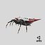 Spiny Orb Weaver Spider 3D Model