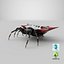 Spiny Orb Weaver Spider 3D Model