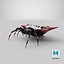 Spiny Orb Weaver Spider 3D Model