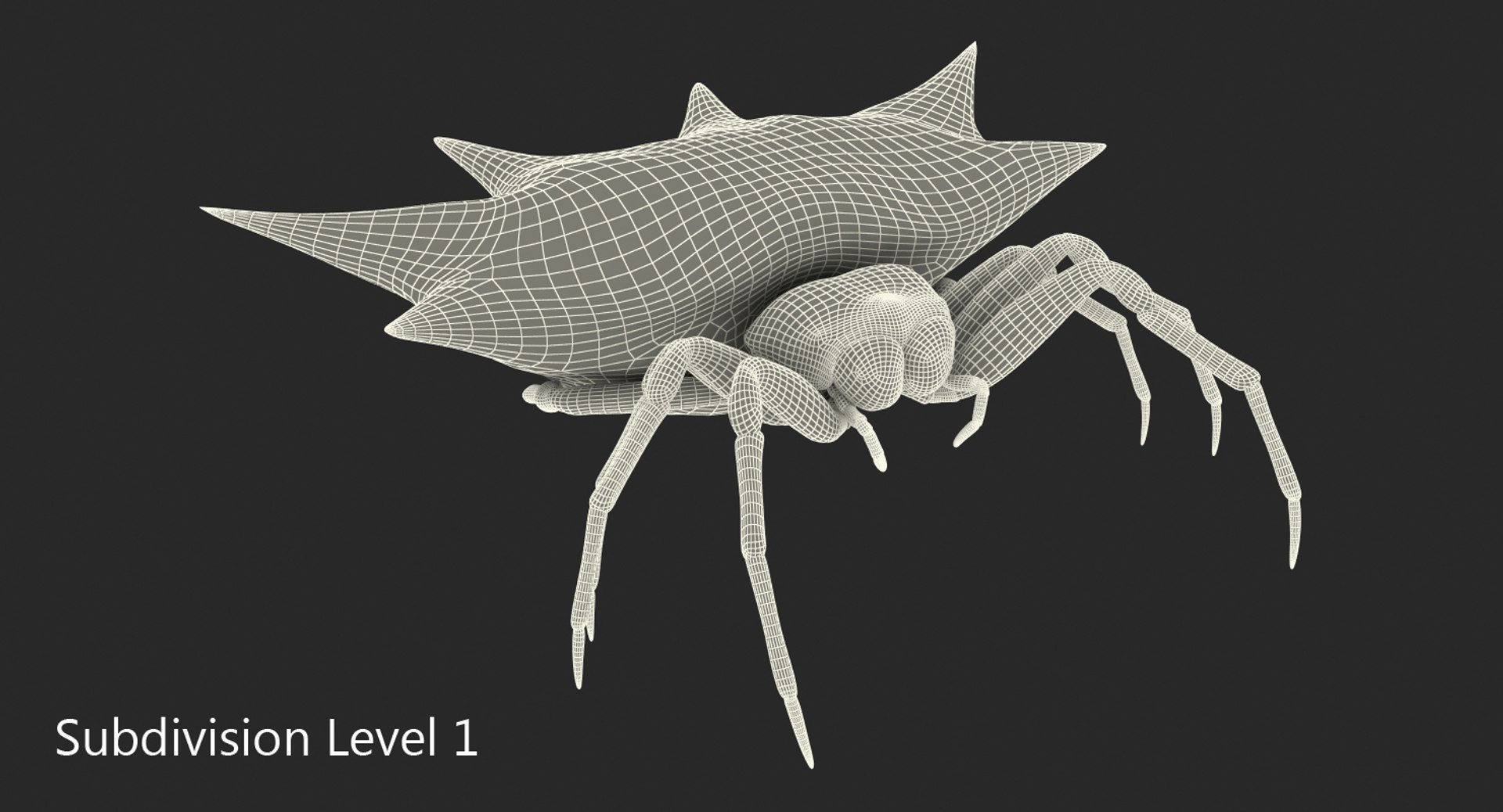 spiny orb weaver spider 3D model https://p.turbosquid.com/ts-thumb/JA/j1Ww49/mNv0qNEM/spinyorbweaverspidervray3dmodel011/jpg/1498019810/1920x1080/fit_q87/4500865e6a5bef9b8025eba00393b43b1f41f54d/spinyorbweaverspidervray3dmodel011.jpg