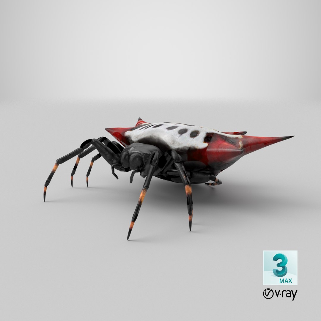 spiny orb weaver spider 3D model https://p.turbosquid.com/ts-thumb/JA/j1Ww49/oE/stemcell_max_vray_render/png/1651230896/1920x1080/fit_q87/2444d81900e77ad4dd162609dc8faea8bbb063d7/stemcell_max_vray_render.jpg