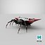 Spiny Orb Weaver Spider 3D Model