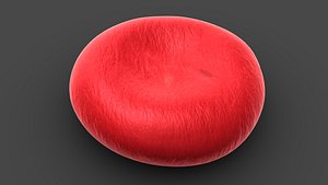 hiv blood cell 3D model