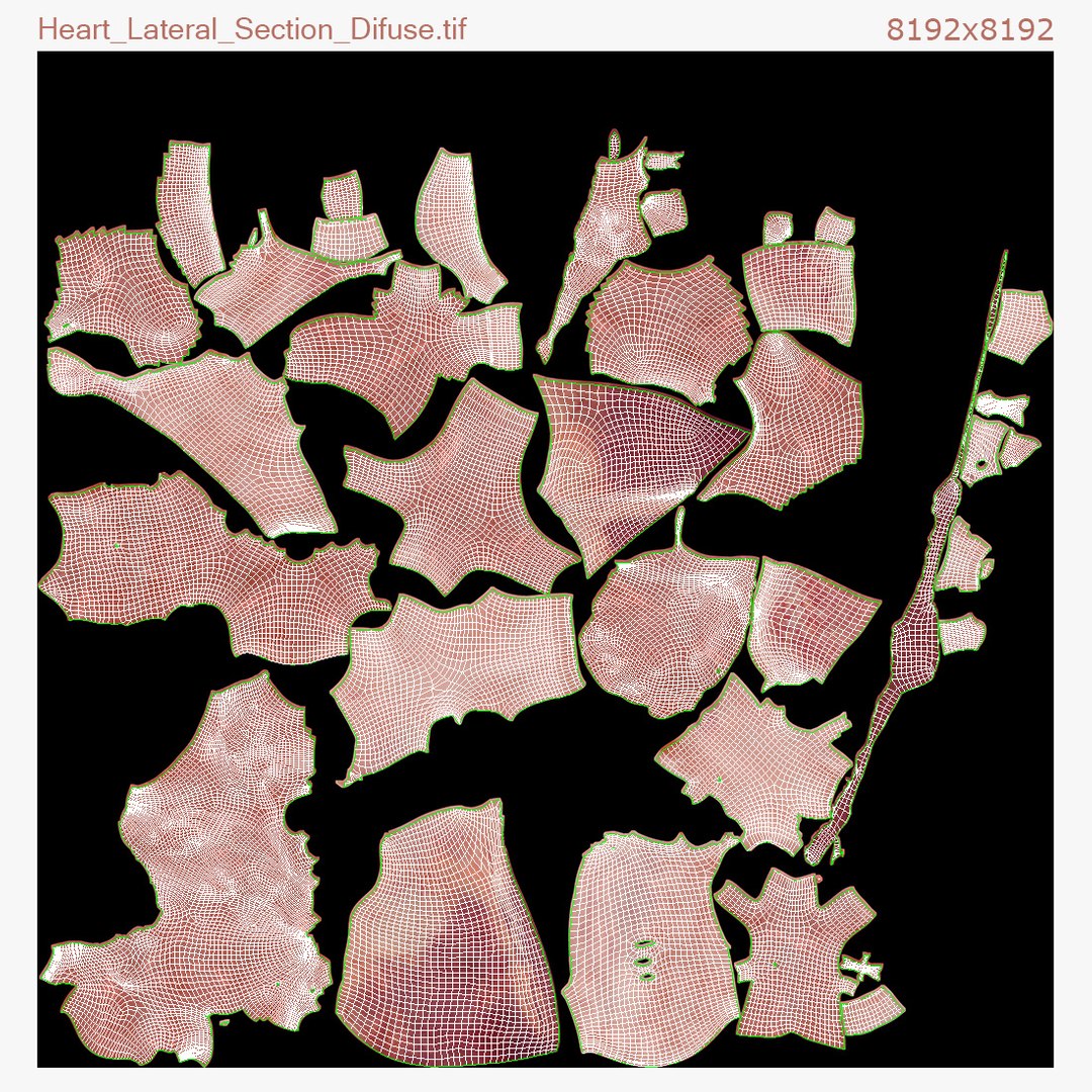 Heart Pack Animated model https://p.turbosquid.com/ts-thumb/JA/rvfuq4/Gw/lateral_unwrapping/jpg/1627460529/1920x1080/fit_q87/1d2767e336843bb7be7eb80d24721ae24a422ddd/lateral_unwrapping.jpg