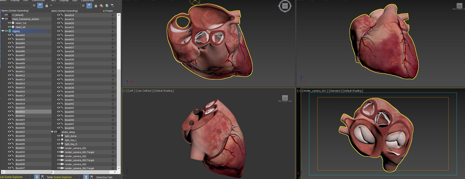 Heart Pack Animated model https://p.turbosquid.com/ts-thumb/JA/rvfuq4/Kx/heart_transverse_section_animated_objects/jpg/1627540074/1920x1080/fit_q87/8c8c1f622b12bb60ed144ecc1b348cd729660fa3/heart_transverse_section_animated_objects.jpg