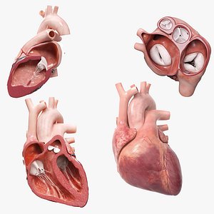 Heart Pack Animated