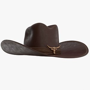 Cowboy Hat 01 3D