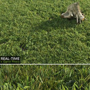 real-time lawn grass 3d model