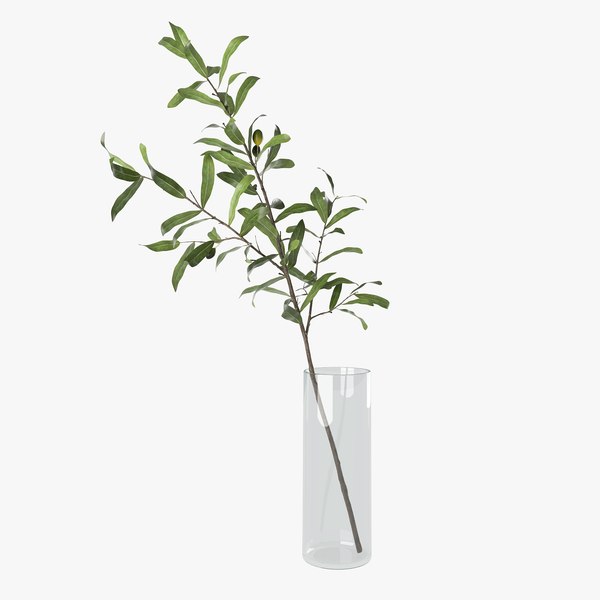 花瓶にオリーブの枝3dモデル Turbosquid