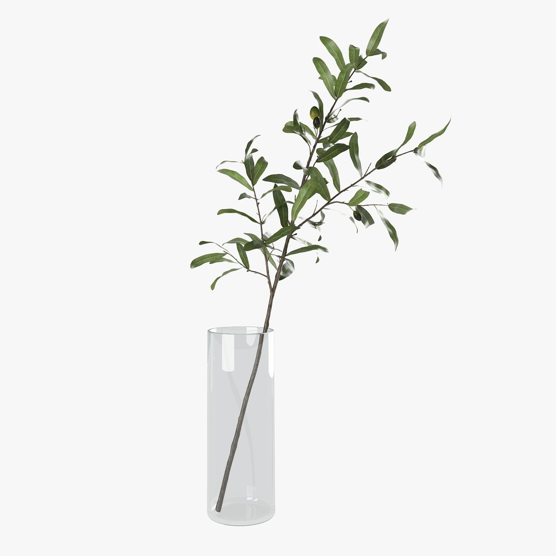 3D olive branch vase model https://p.turbosquid.com/ts-thumb/JB/LhUsUH/ByzqbNSF/c2p/jpg/1540148994/1920x1080/fit_q87/4a6ea9e365ed062920b29e101c8e84e0765755a6/c2p.jpg