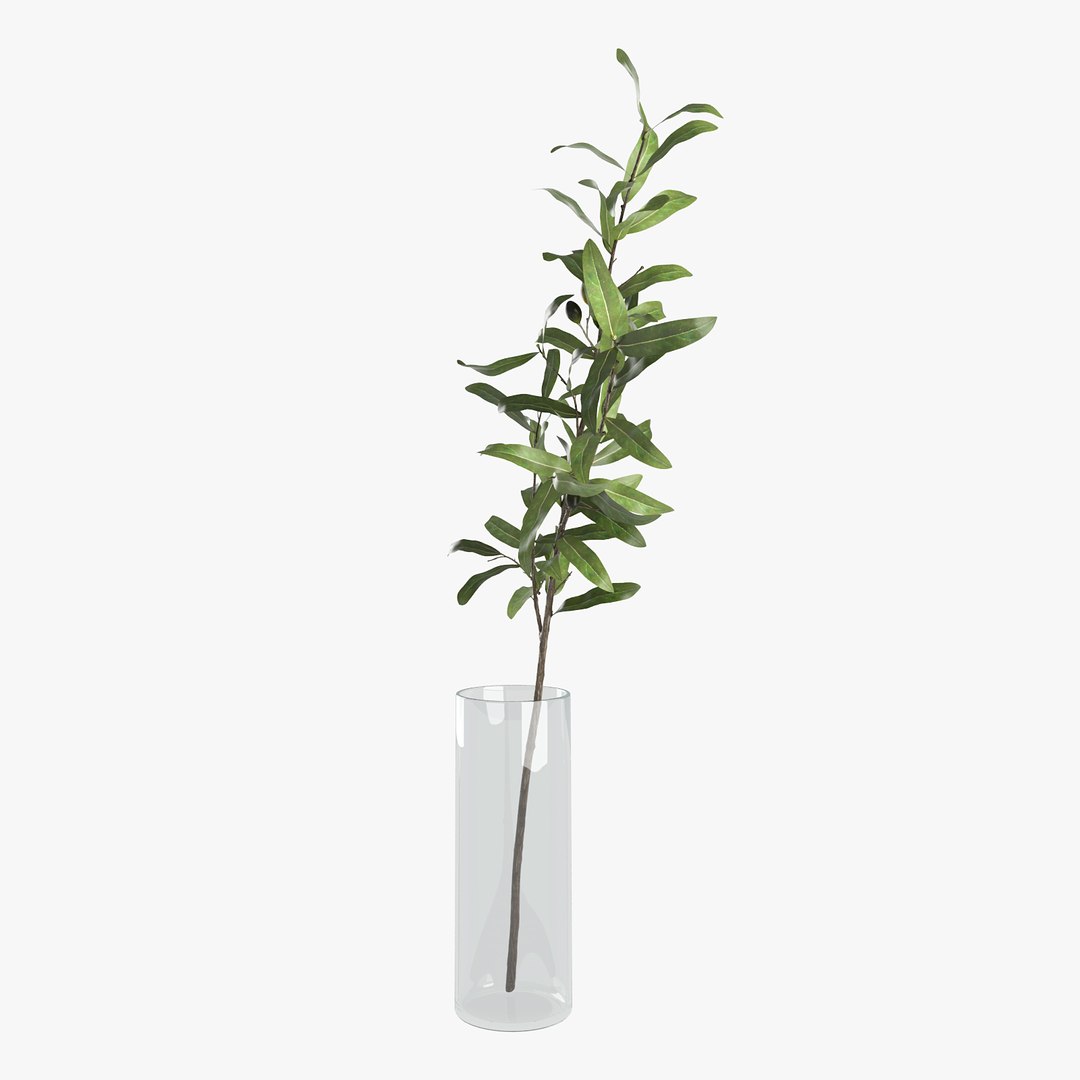 3D olive branch vase model https://p.turbosquid.com/ts-thumb/JB/LhUsUH/Ou1H5qX4/c4p/jpg/1540148994/1920x1080/fit_q87/dd6108aab601eaecfa8a1b121ffb96baaabe2305/c4p.jpg