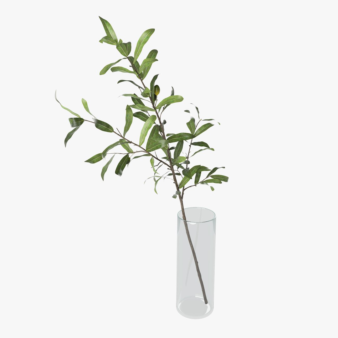 3D olive branch vase model https://p.turbosquid.com/ts-thumb/JB/LhUsUH/ltVtMm8R/c5p/jpg/1540148994/1920x1080/fit_q87/38305c2a5ecca94c0ea36d08098b877c3b353330/c5p.jpg