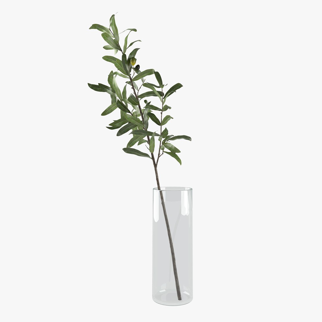 3D olive branch vase model https://p.turbosquid.com/ts-thumb/JB/LhUsUH/lzwpKqQE/c3p/jpg/1540148994/1920x1080/fit_q87/15ed08bab5266d39a27552c24f4a6c5d7c9252ea/c3p.jpg