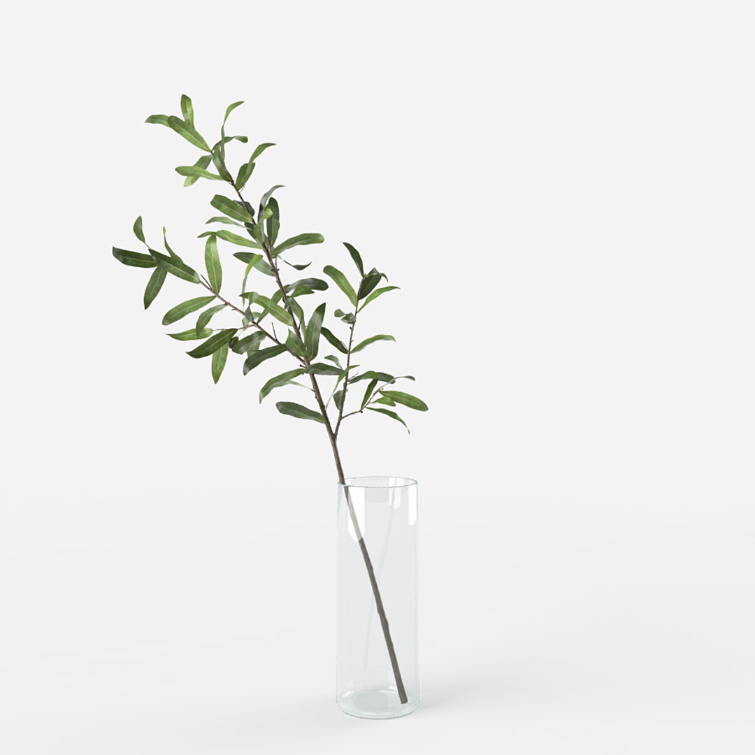 3D Olive Branch Vase Model TurboSquid 1338954