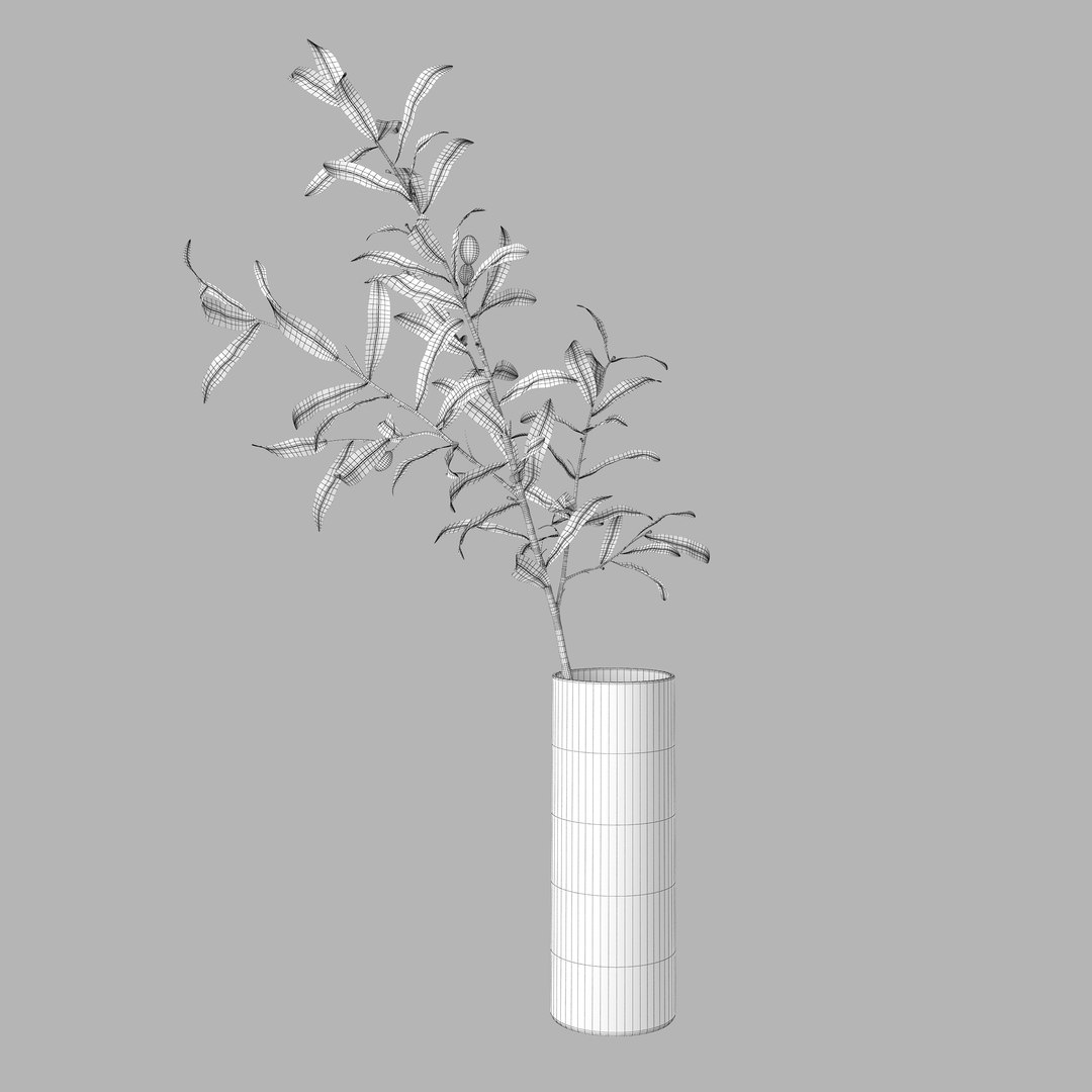 3D olive branch vase model https://p.turbosquid.com/ts-thumb/JB/LhUsUH/x8GrIlyW/setka_c1/jpg/1540149372/1920x1080/fit_q87/d948a049b06433ccd6ecc54cfbd09400b3c8cd31/setka_c1.jpg