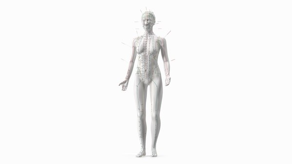 Modèle D'acupuncture Corps Humain – 40 Cm Ou 52 Cm – Méridiens Homme/femme – PVC Souple – Enseignement Médical