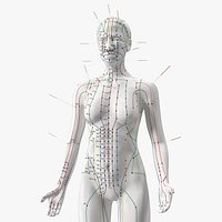 Female Acupuncture Anatomy Chart with Needles