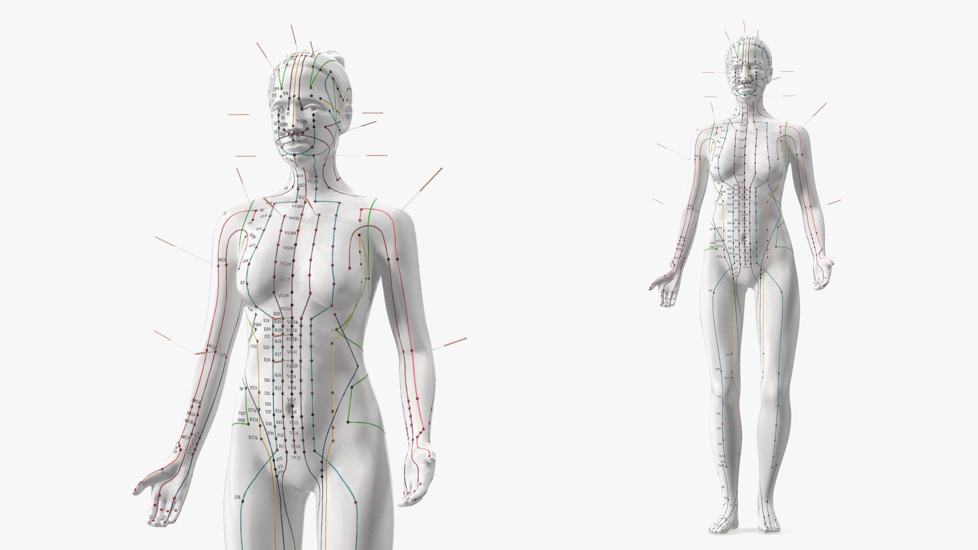 Female Acupuncture Anatomy Chart with Needles 3D model preview