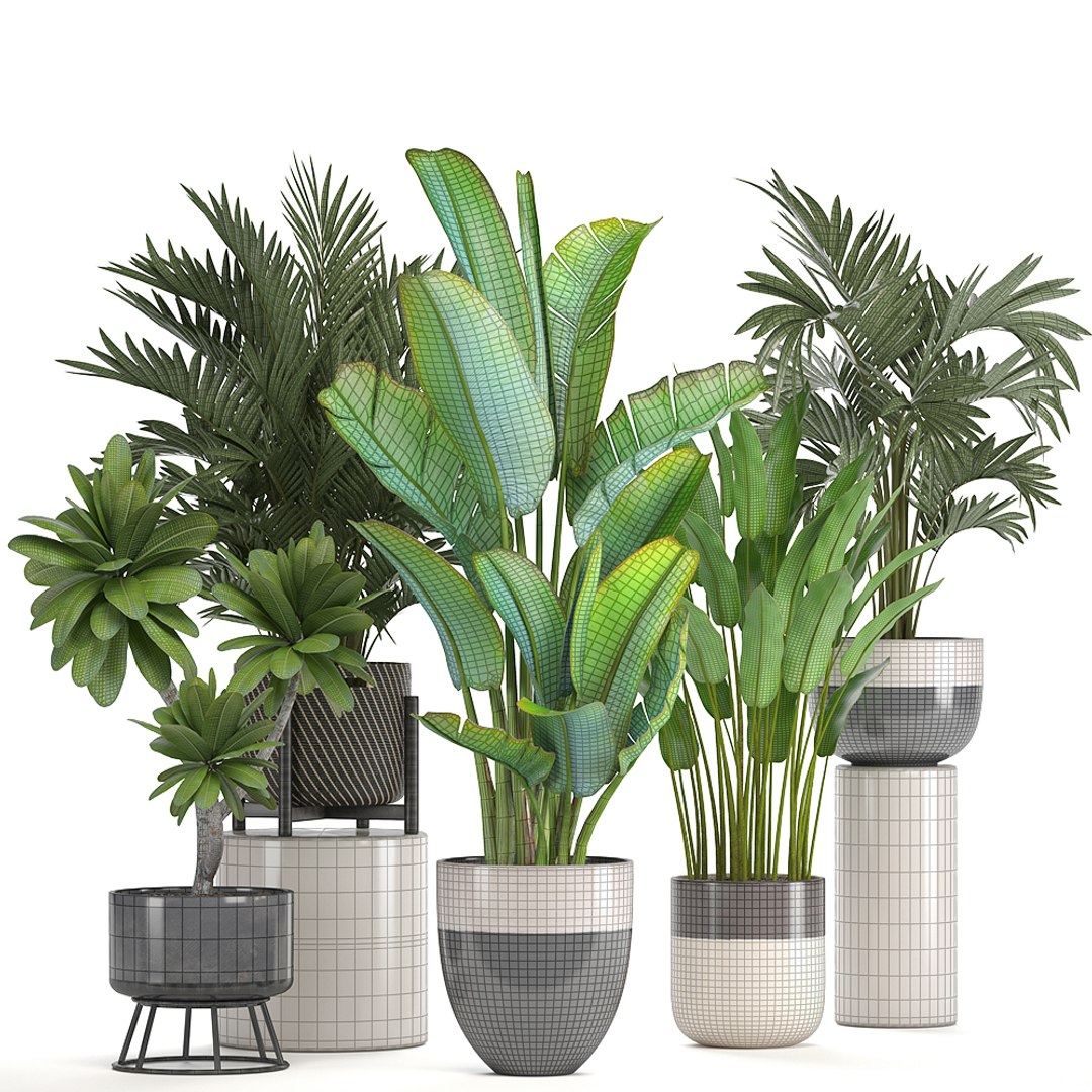 Ornamental Plants Pots Model - TurboSquid 1293989