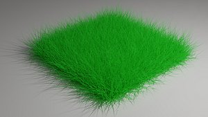 3D Green Grass