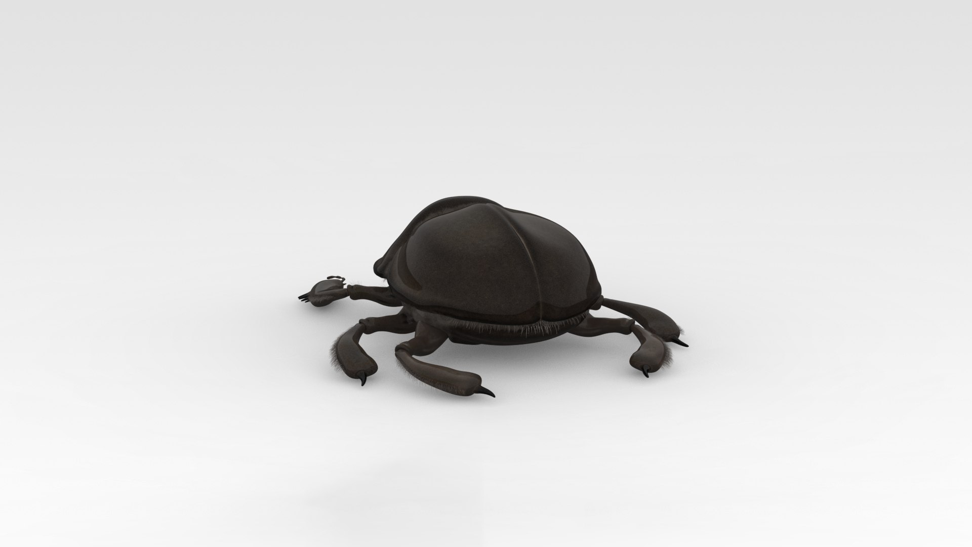 Scarab 3D Model - TurboSquid 1841355