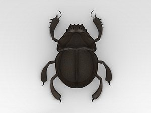 Scarab