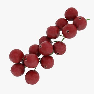 Red currant branch 3D model