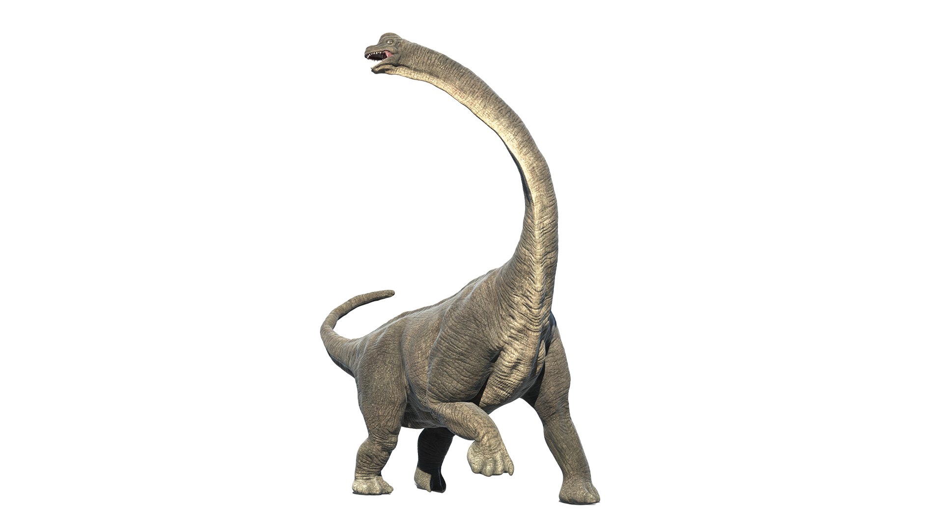 File:Long neck dino Long neck Brachiosaurus animation cartoon video game  sprite 3D model.png - Wikimedia Commons