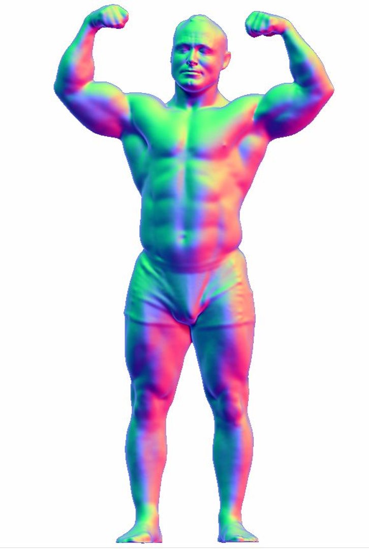 Obj Scans Body Builder