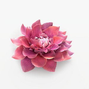 3D Flower Animated Rose Bloom model