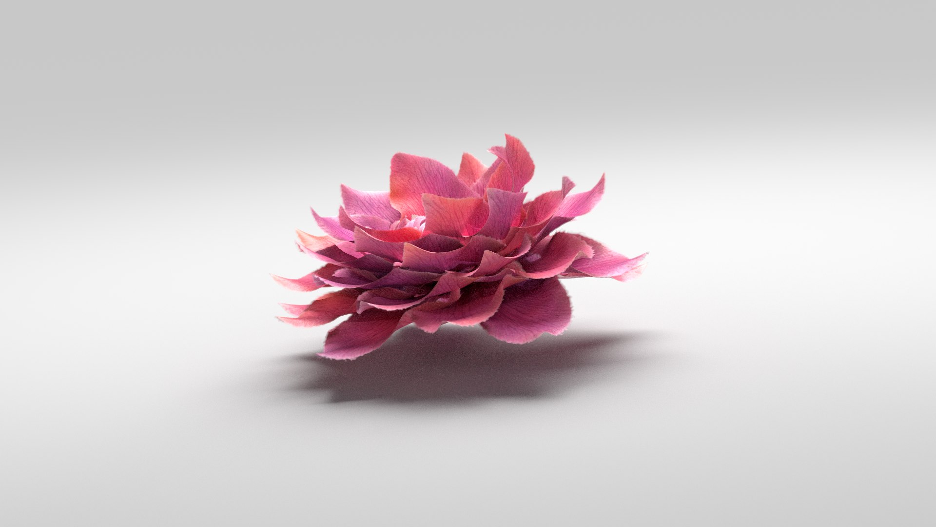3D Flower Animated Rose Bloom Model - TurboSquid 2318978