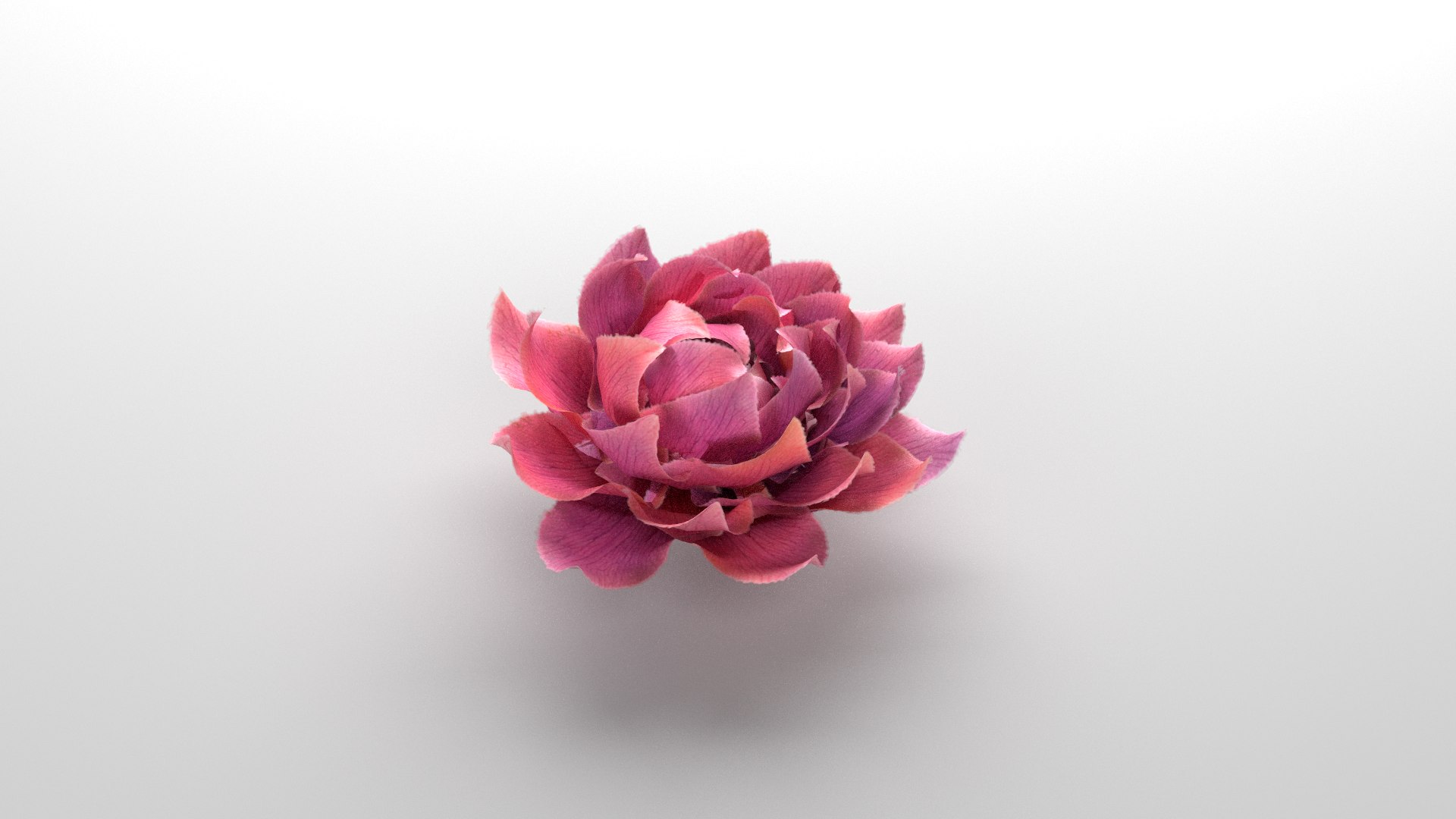 3D Flower Animated Rose Bloom Model - TurboSquid 2318978