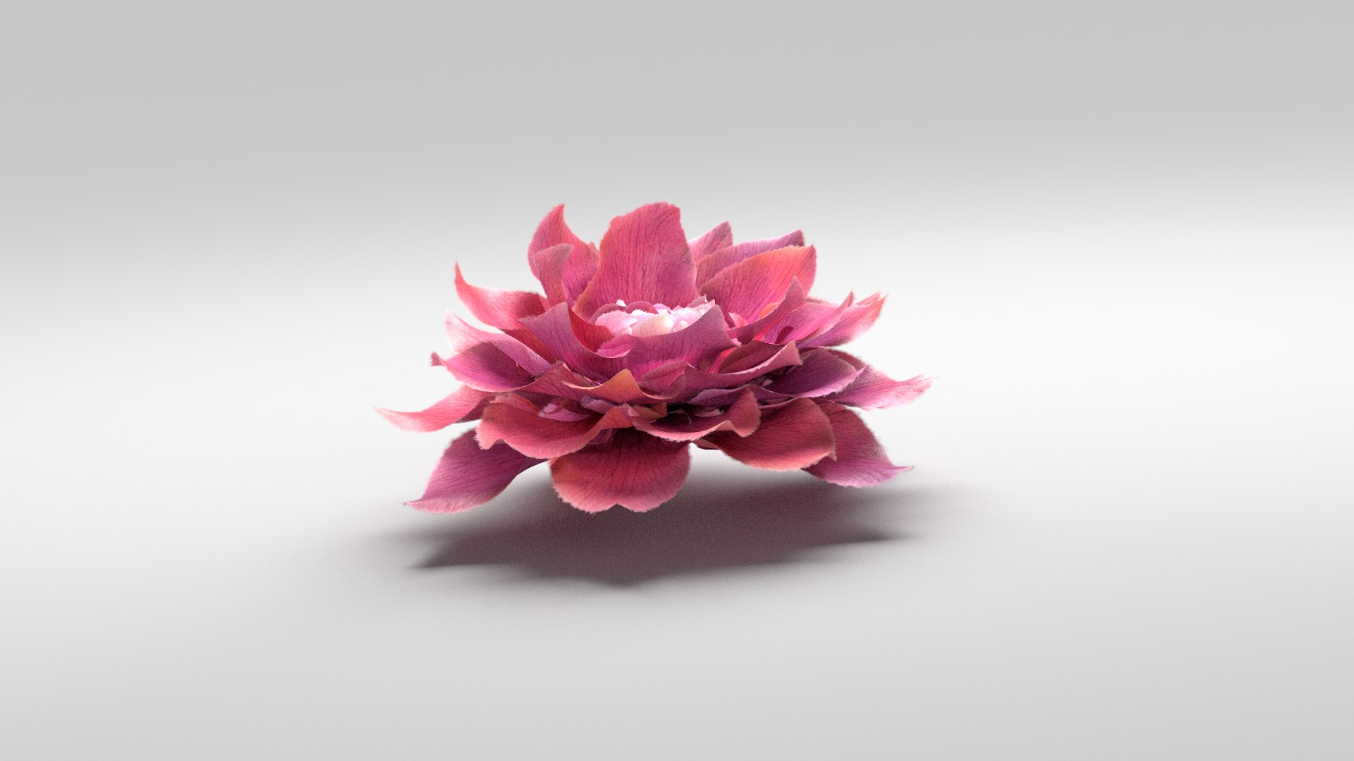 3D Flower Animated Rose Bloom Model - TurboSquid 2318978