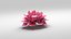 Fiore 3D animato rosa in fiore