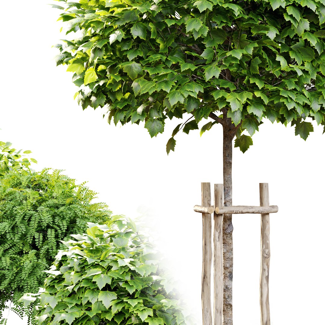 Tree with wooden guard 3D model https://p.turbosquid.com/ts-thumb/JC/FnArqp/ca/preview6gt/jpg/1660732688/1920x1080/fit_q87/7f51aeba7d00f065e01313cd059675c306355903/preview6gt.jpg