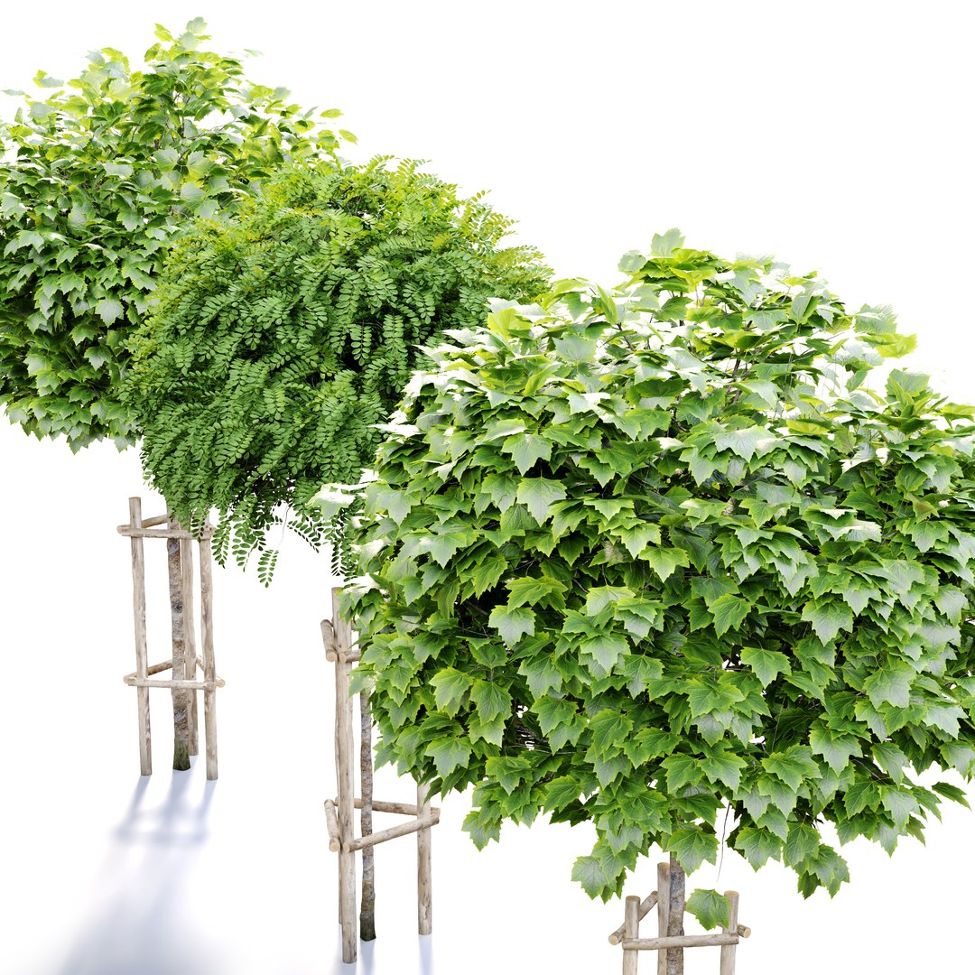Tree with wooden guard 3D model https://p.turbosquid.com/ts-thumb/JC/FnArqp/xm/preview2gt/jpg/1660732685/1920x1080/fit_q87/0da21c4c7d2d230bd3e2146d207df56c66719c00/preview2gt.jpg