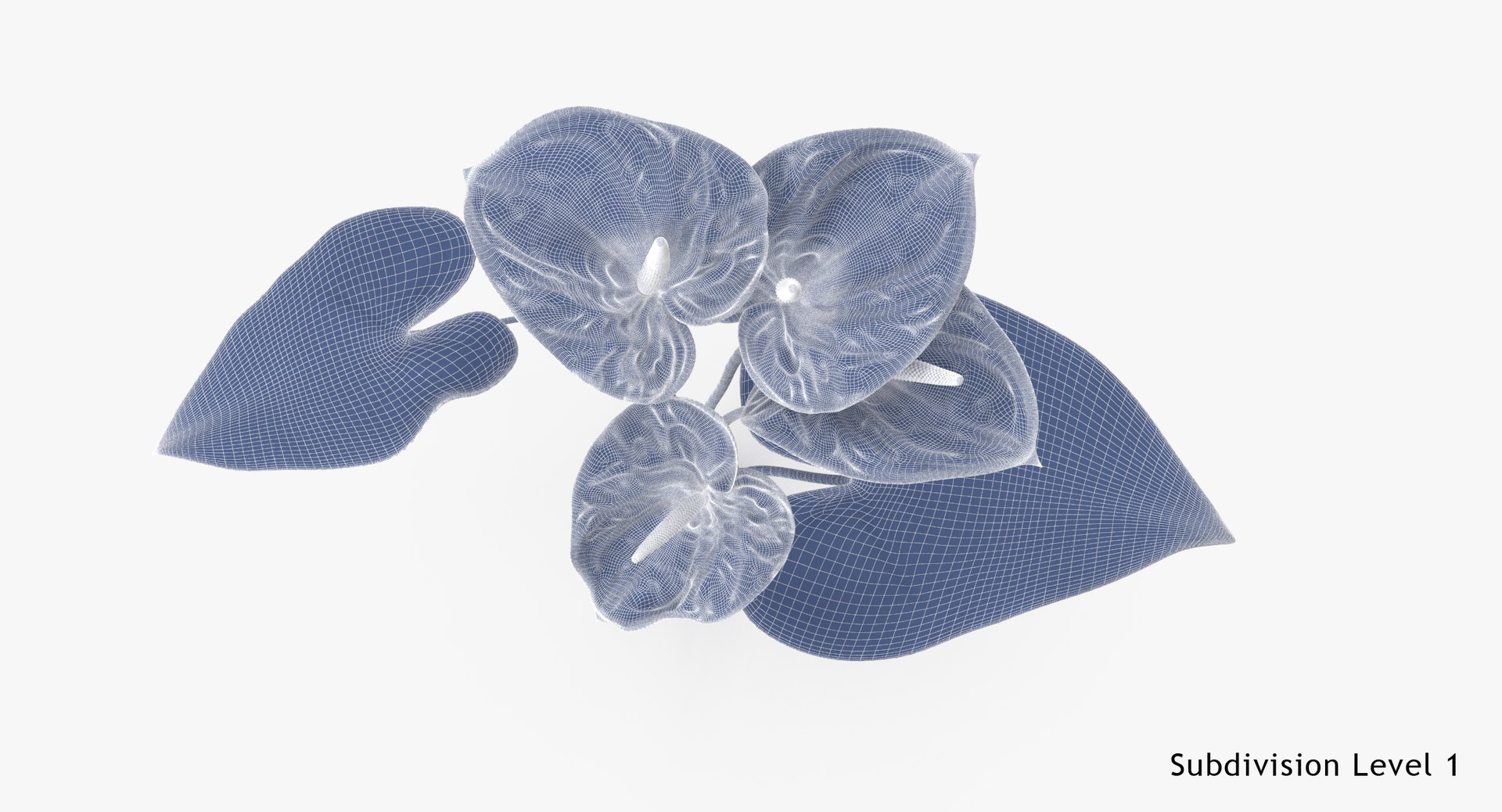 anthurium bouquet - 3d model https://p.turbosquid.com/ts-thumb/JC/Ry8O4P/LmMHwuHZ/anthurium_04_001_bouquet_wireframe_subdiv1/jpg/1462638473/1920x1080/fit_q87/c85224168d4a2e927f3671ab5fcc4c198e0f4851/anthurium_04_001_bouquet_wireframe_subdiv1.jpg