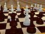 Chess + Accessories
