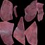 Human Liver With Segments