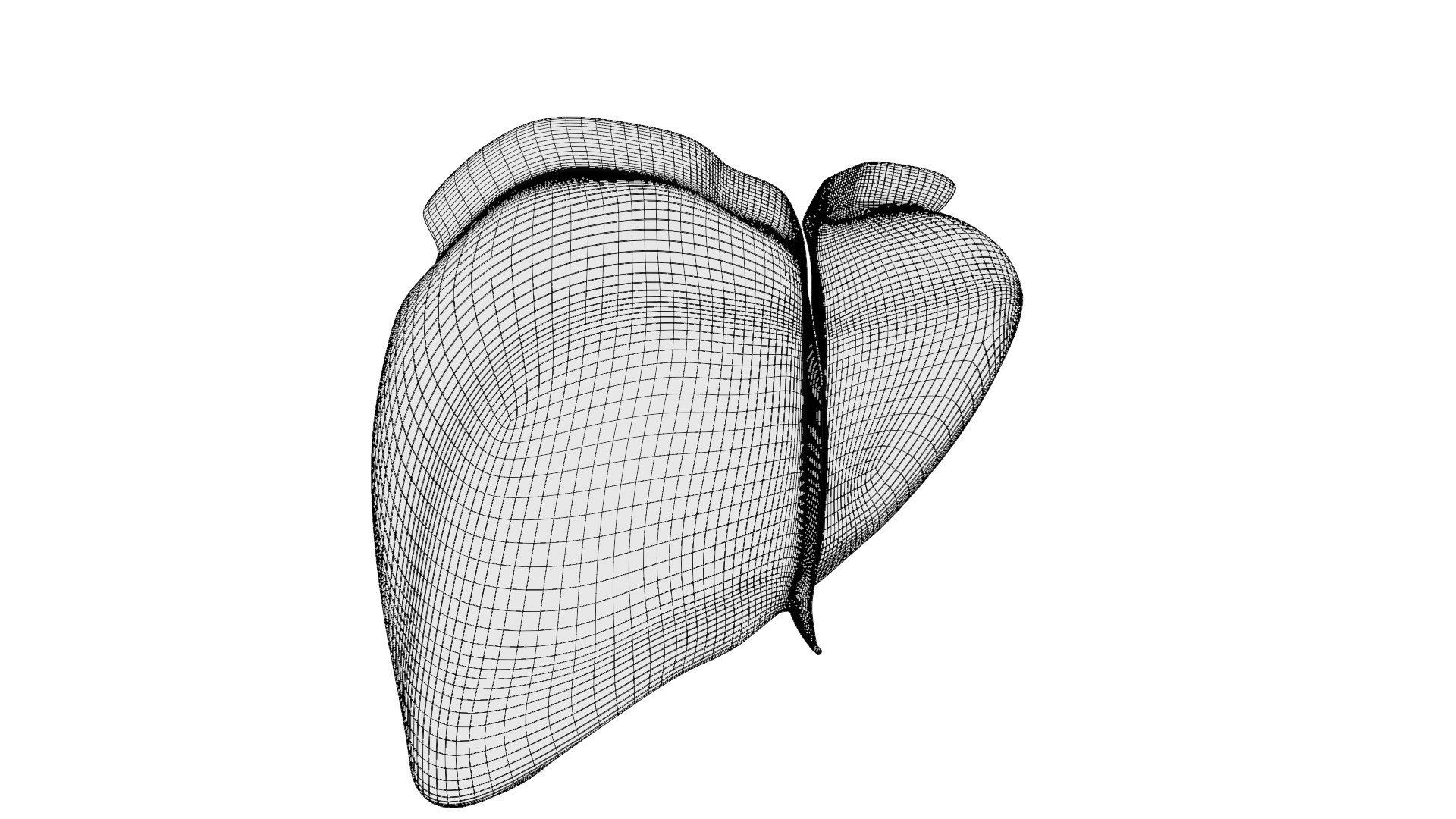 Human liver with segments 3D https://p.turbosquid.com/ts-thumb/JC/VneIdH/X6/1peritoneum_wireframe/png/1640374674/1920x1080/fit_q87/cda2b64bbe9b1635a4af2c93ae552b42c1f38463/1peritoneum_wireframe.jpg