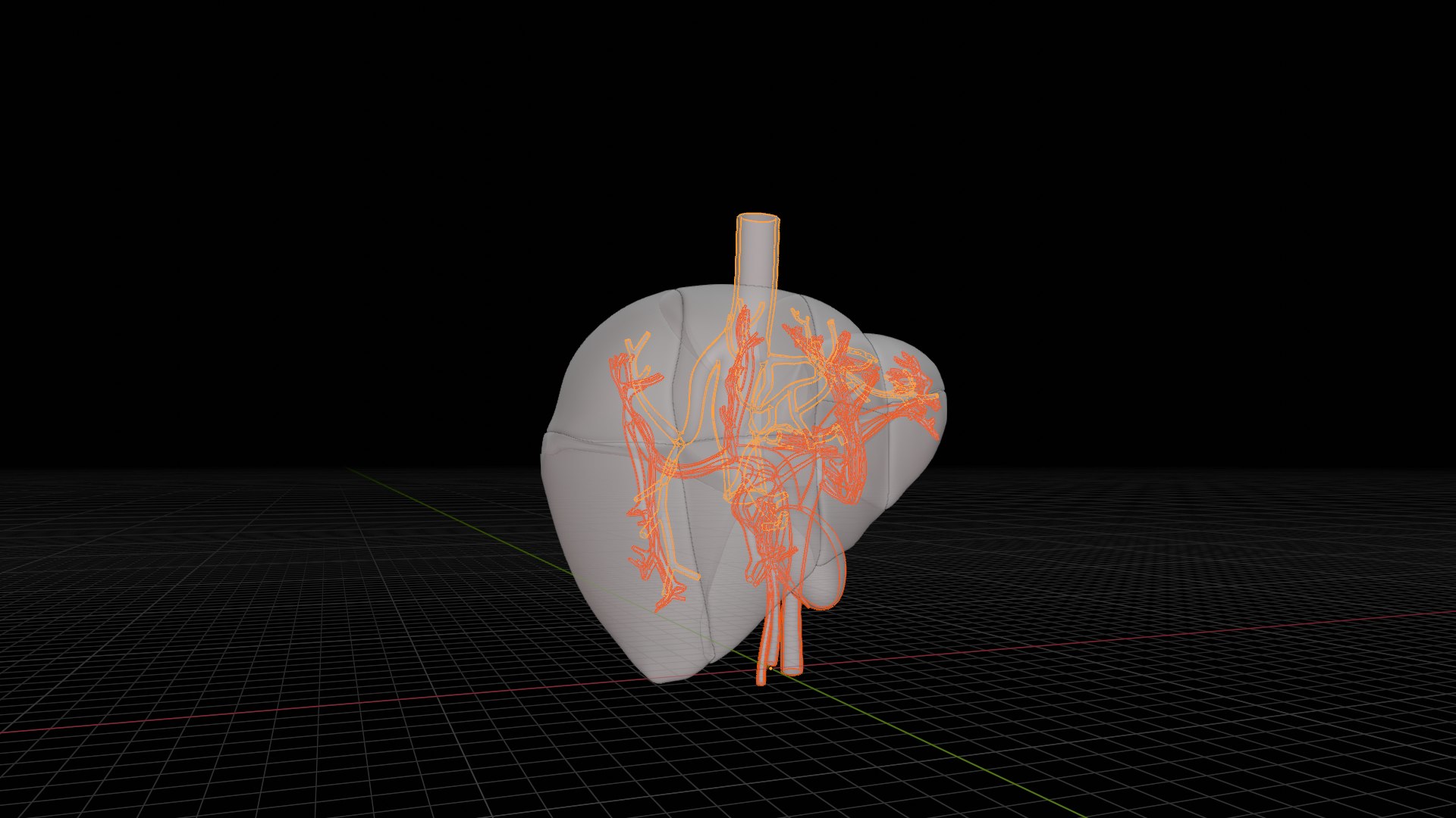Human liver with segments 3D https://p.turbosquid.com/ts-thumb/JC/VneIdH/bI/6vesselssegments/png/1640374708/1920x1080/fit_q87/f6e2df56425f8d042abf0ce61bb5215e894c41e8/6vesselssegments.jpg