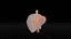 Human Liver With Segments