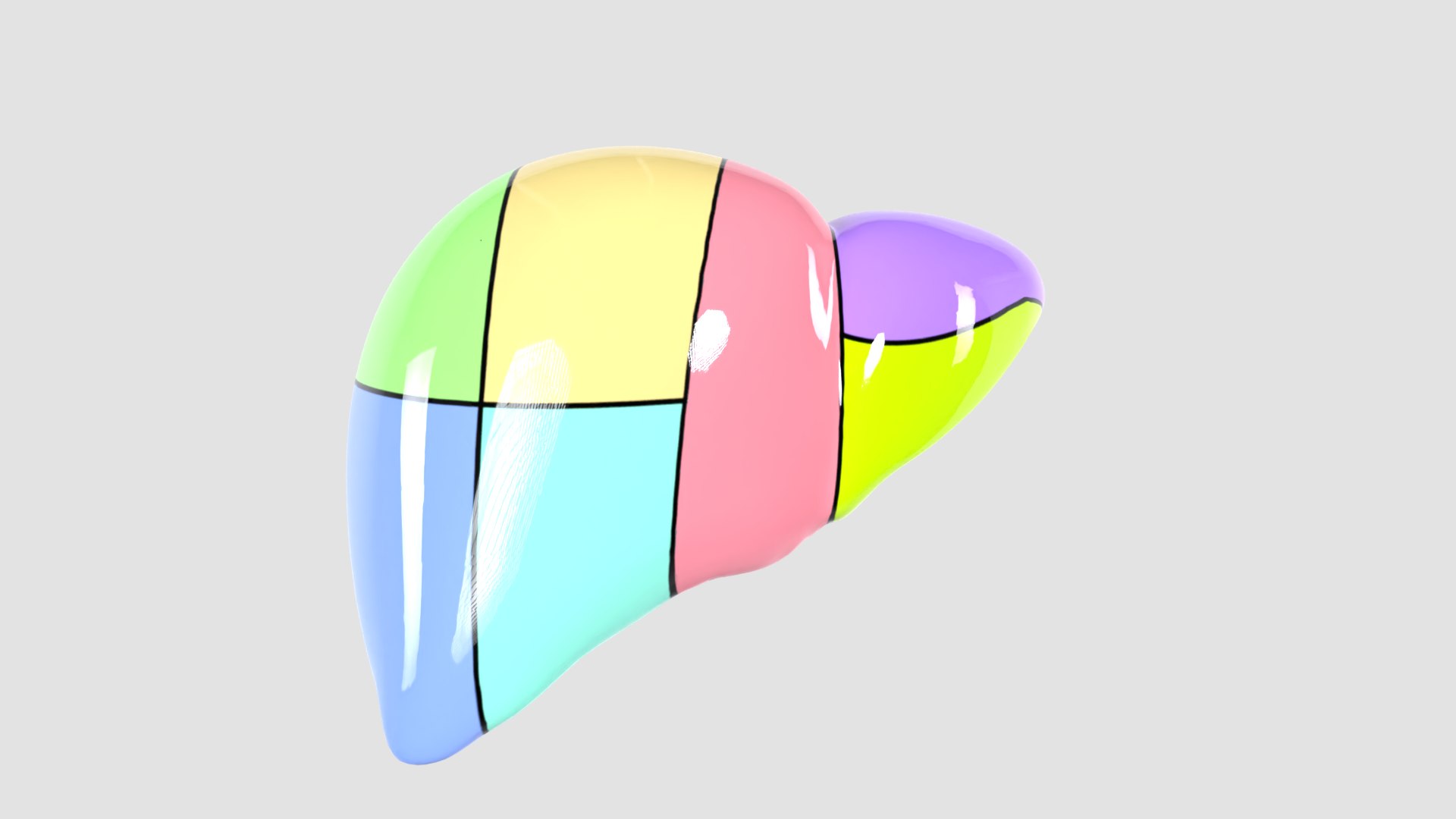 Human liver with segments 3D https://p.turbosquid.com/ts-thumb/JC/VneIdH/cQ/9additionalcolors/png/1640374639/1920x1080/fit_q87/754b5295412d6f76160beca2081bf575ff24d74f/9additionalcolors.jpg
