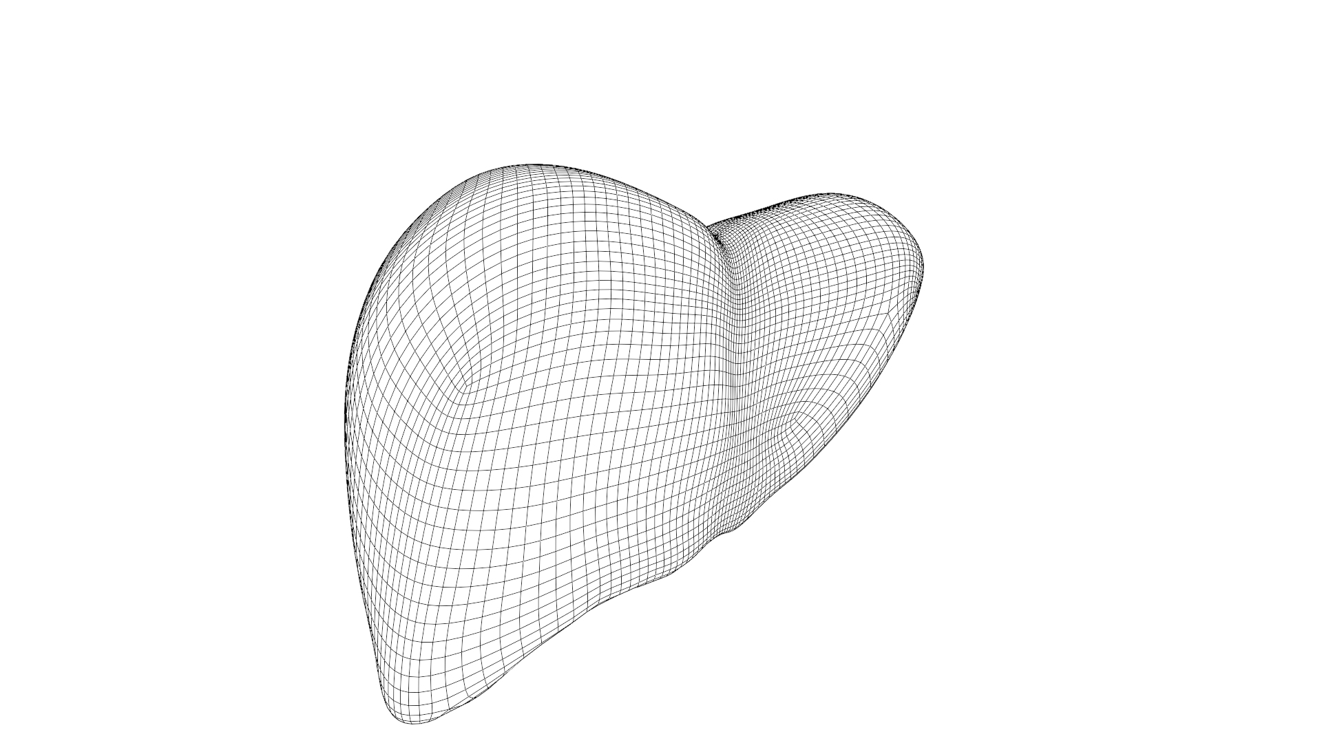 Human liver with segments 3D https://p.turbosquid.com/ts-thumb/JC/VneIdH/iU/liver_isolated_wireframe/png/1640378339/1920x1080/turn_fit_q99/97417023e4f5388d18295e22a2daaa8f29162145/liver_isolated_wireframe-1.jpg