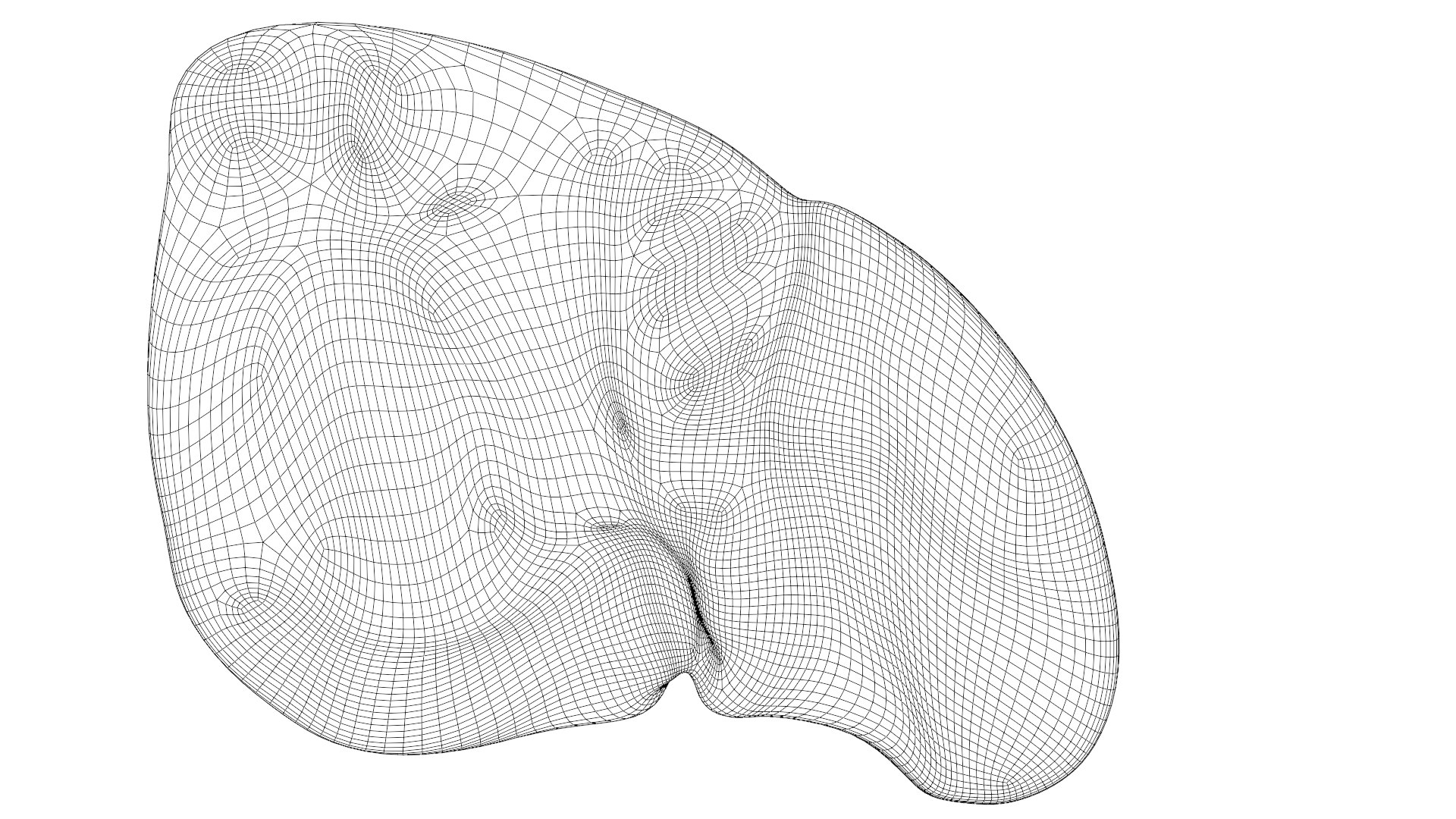 Human liver with segments 3D https://p.turbosquid.com/ts-thumb/JC/VneIdH/ik/3humanliverbottom/png/1640374675/1920x1080/fit_q87/f4068b3ab82405dd2bbe082c5c56dcff701ac667/3humanliverbottom.jpg